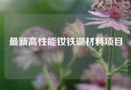 最新高性能釹鐵硼材料項(xiàng)目