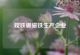 釹鐵硼磁鐵生產企業