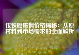 釹鐵硼磁鋼價格揭秘：從原材料到市場需求的全面解析