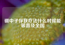 硼中子俘獲療法什么時(shí)候能夠普及全國(guó)