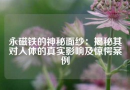 永磁鐵的神秘面紗：揭秘其對人體的真實影響及驚愕案例