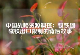 中國戰略資源調控：釹鐵硼磁鐵出口限制的背后故事