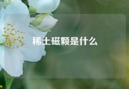 稀土磁顆是什么