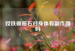 釹鐵硼磁石對(duì)身體有副作用嗎