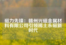 磁力先鋒：贛州興磁金屬材料有限公司引領(lǐng)稀土永磁新時(shí)代