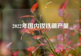 2022年國內釹鐵硼產量