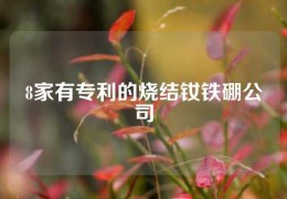 8家有專利的燒結釹鐵硼公司