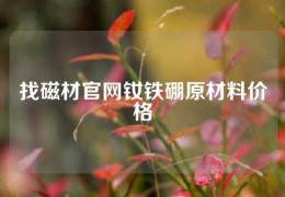 找磁材官網(wǎng)釹鐵硼原材料價(jià)格