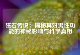 磁石傳說：揭秘其對男性功能的神秘影響與科學真相