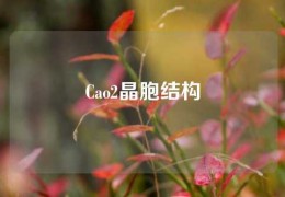 Cao2晶胞結構