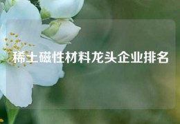 稀土磁性材料龍頭企業排名