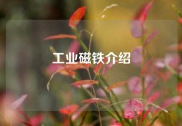 工業磁鐵介紹