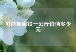 汝鐵硼磁鐵一公斤價(jià)值多少元