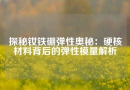 探秘釹鐵硼彈性奧秘：硬核材料背后的彈性模量解析