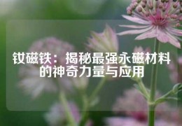 釹磁鐵：揭秘最強永磁材料的神奇力量與應用