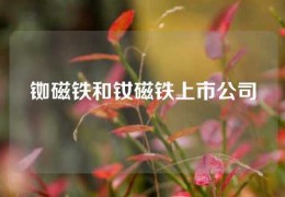 銣磁鐵和釹磁鐵上市公司