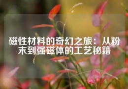 磁性材料的奇幻之旅：從粉末到強磁體的工藝秘籍