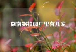 湖南鋁鐵硼廠里有幾家