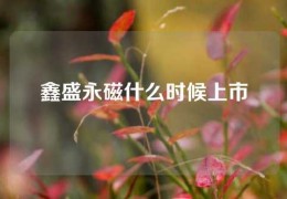 鑫盛永磁什么時候上市