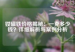 釹磁鐵價格揭秘：一克多少錢？詳細解析與案例分析