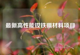 最新高性能釹鐵硼材料項(xiàng)目