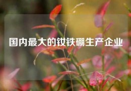 國內最大的釹鐵硼生產企業