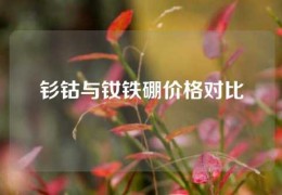 釤鈷與釹鐵硼價格對比