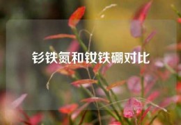 釤鐵氮和釹鐵硼對比