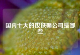 國內十大的釹鐵硼公司是哪些