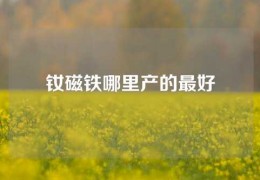 釹磁鐵哪里產(chǎn)的最好