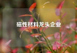 磁性材料龍頭企業(yè)