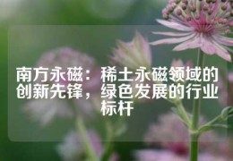 南方永磁：稀土永磁領域的創新先鋒，綠色發展的行業標桿