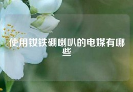 使用釹鐵硼喇叭的電媒有哪些