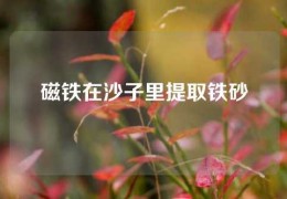 磁鐵在沙子里提取鐵砂