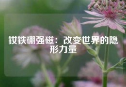 釹鐵硼強(qiáng)磁：改變世界的隱形力量