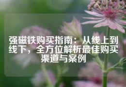 強(qiáng)磁鐵購(gòu)買(mǎi)指南：從線(xiàn)上到線(xiàn)下，全方位解析最佳購(gòu)買(mǎi)渠道與案例