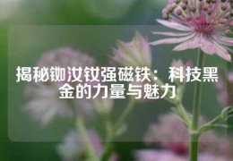 揭秘銣汝釹強(qiáng)磁鐵：科技黑金的力量與魅力