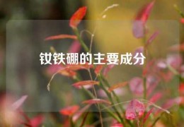 釹鐵硼的主要成分