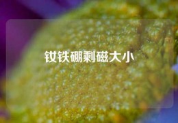 釹鐵硼剩磁大小