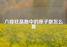 六棱柱晶胞中的原子數怎么算