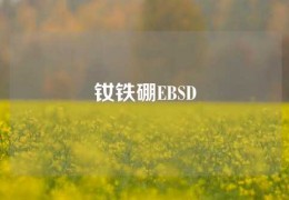 釹鐵硼EBSD