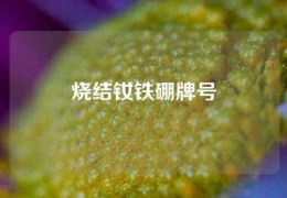 燒結釹鐵硼牌號