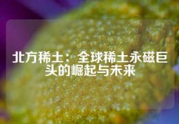 北方稀土：全球稀土永磁巨頭的崛起與未來