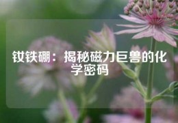 釹鐵硼：揭秘磁力巨獸的化學(xué)密碼