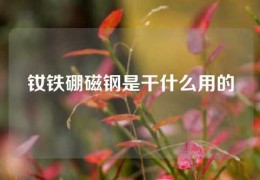 釹鐵硼磁鋼是干什么用的