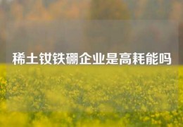 稀土釹鐵硼企業(yè)是高耗能嗎