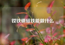 釹鐵硼磁鐵能做什么