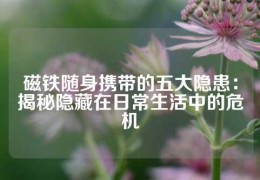 磁鐵隨身攜帶的五大隱患：揭秘隱藏在日常生活中的危機(jī)