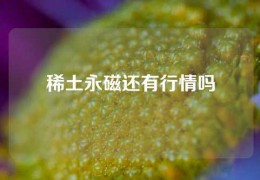 稀土永磁還有行情嗎