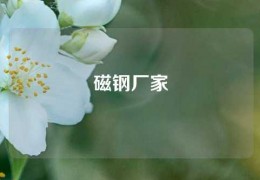 磁鋼廠家